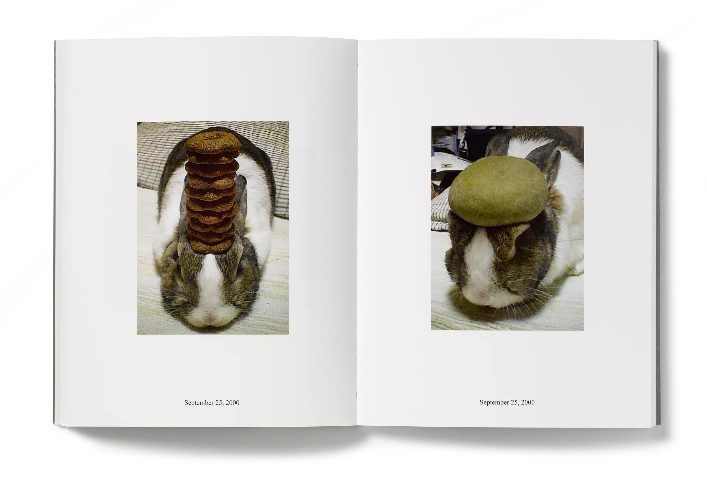 In Almost Every Picture — ERIK KESSELS